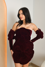 FOR RENT - Miss Rosier Floral Velvet Mini Dress