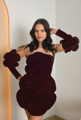 FOR RENT - Miss Rosier Floral Velvet Mini Dress