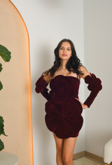 FOR RENT - Miss Rosier Floral Velvet Mini Dress