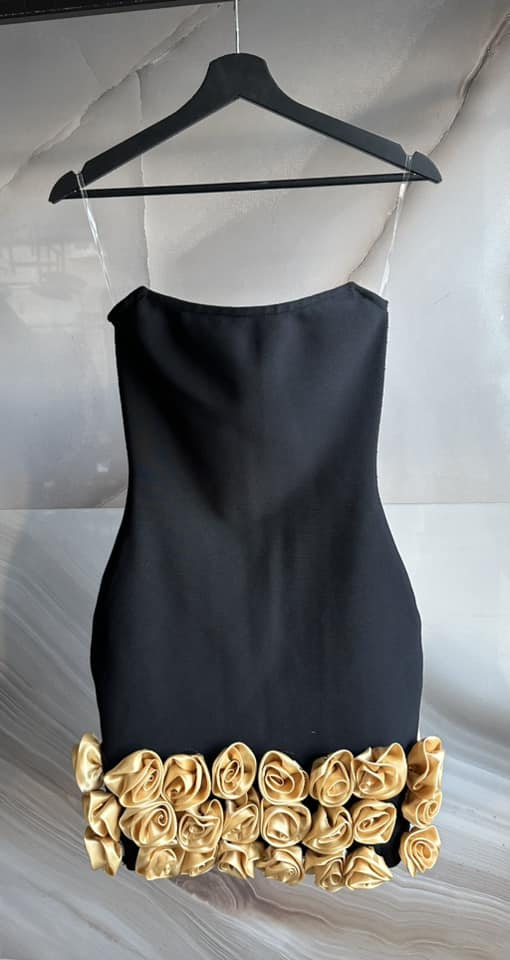 Arya dress